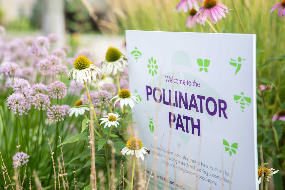 Pollinator Path sign