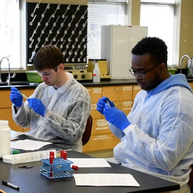 Students conducting research in a lab