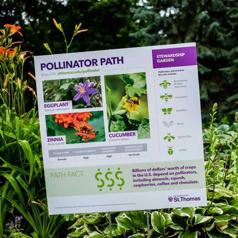 pollinator path sign in garden