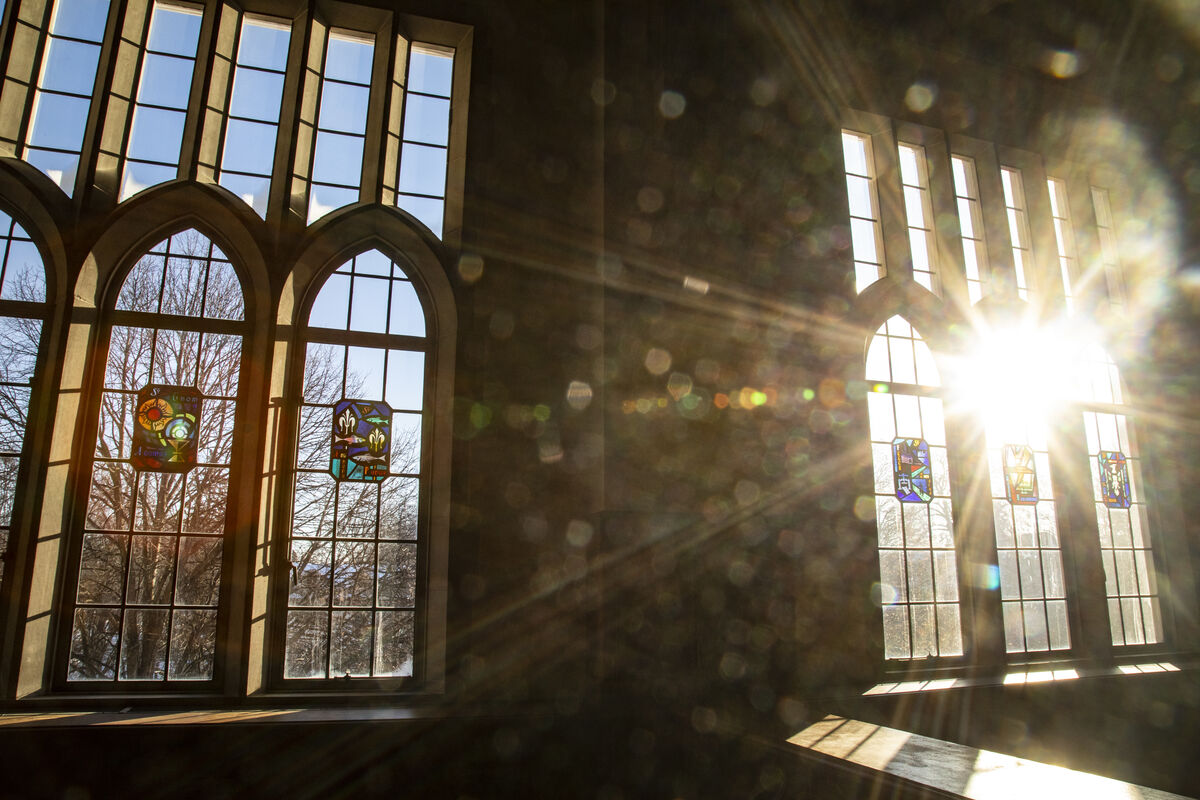 sun shines through library windows