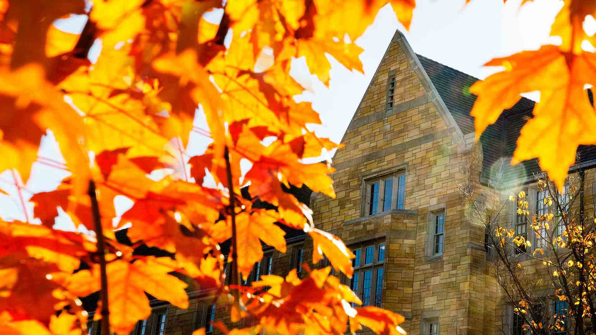 Academic Calendars | University of St. Thomas - Minnesota