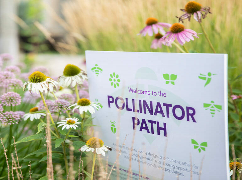 Pollinator path sign among flowers.