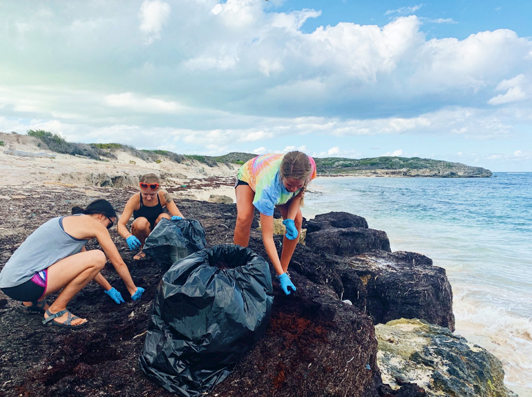 Students picking trash by beach shore 