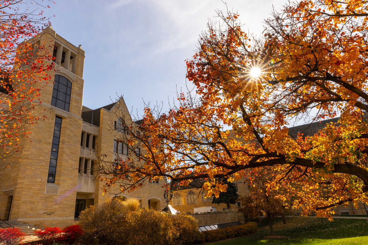 The sun shines through colorful leaves on a tree in front of the O’Shaughnessy-Frey Library on the St. Paul campus on October 31, 2022.