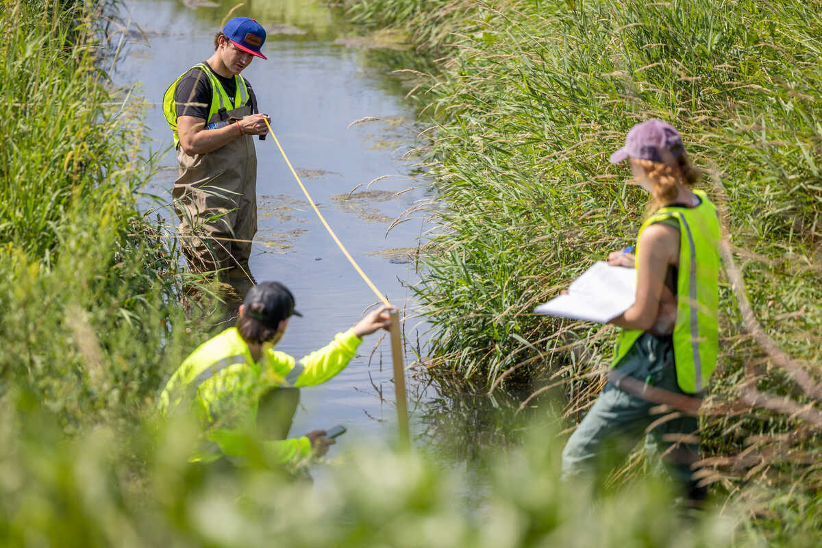 Three students doing chemistry research out in the marsh land