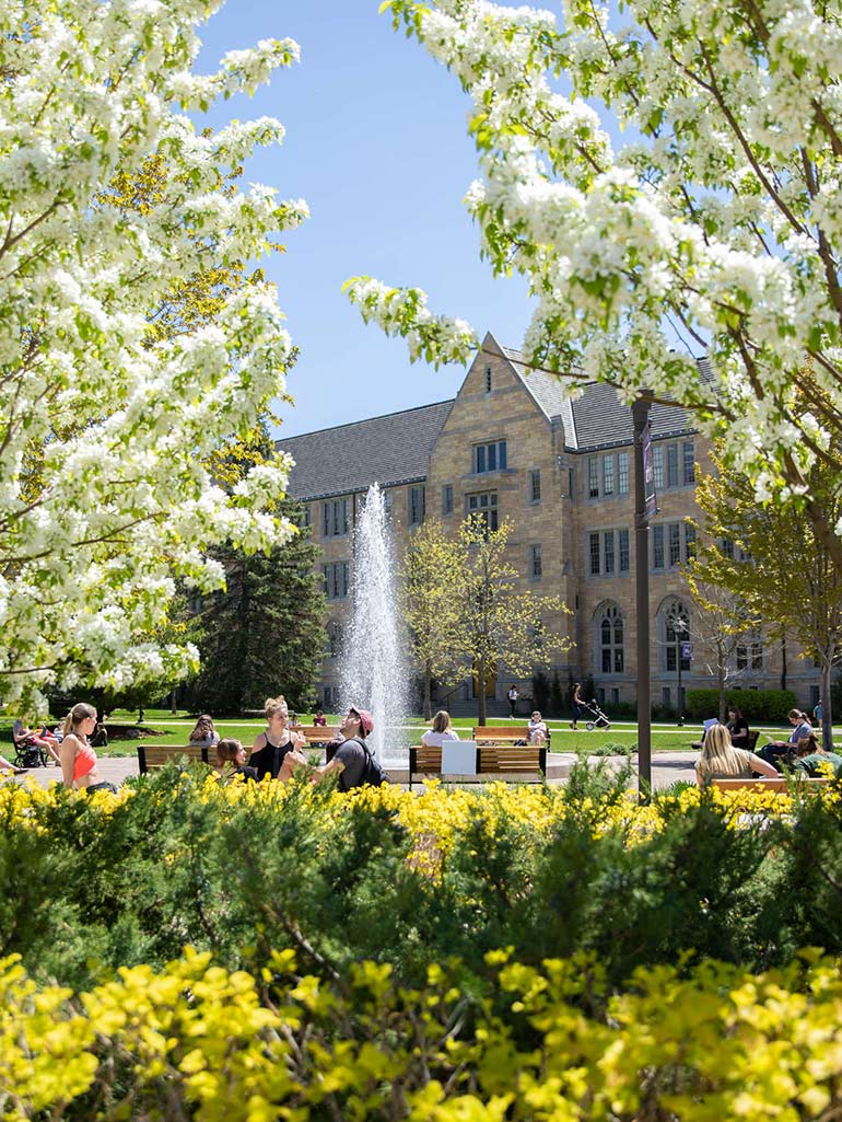 Spring photo of the lower quad