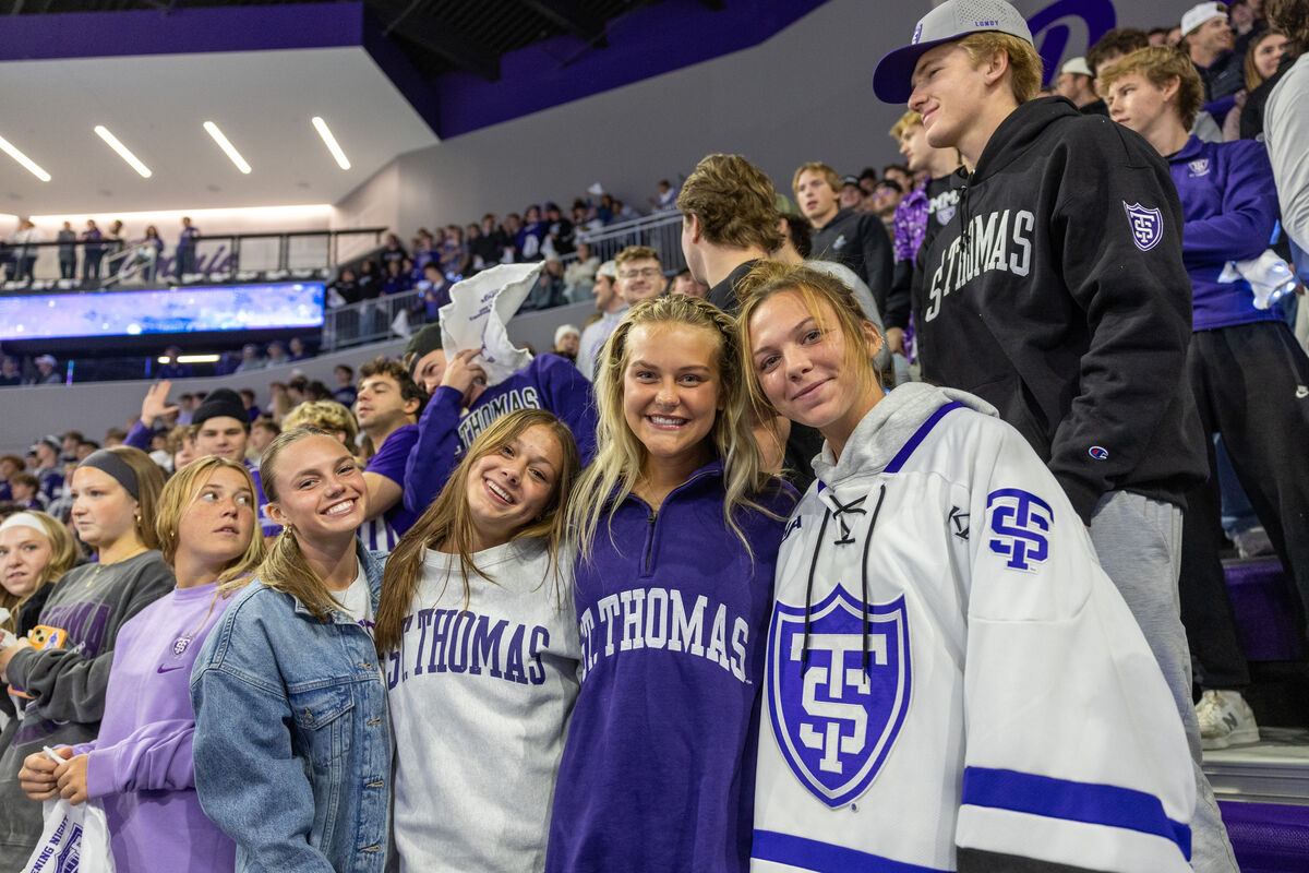 Fans at a hockey game