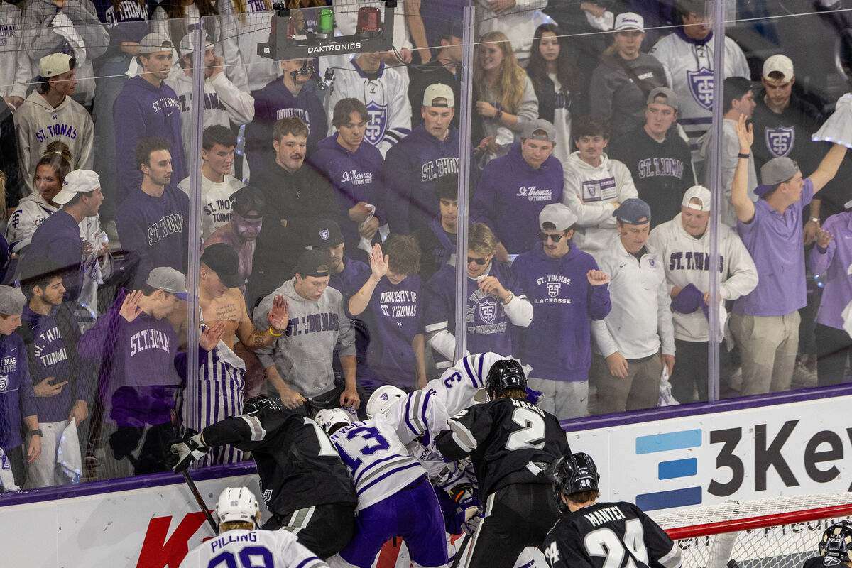 Fans watch hockey