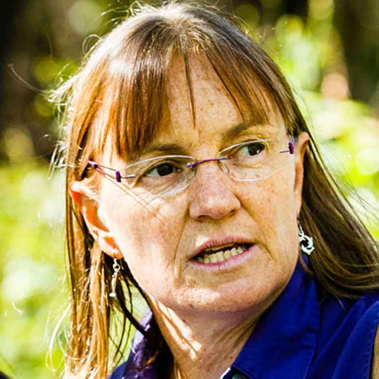 Geology professor Lisa Lamb