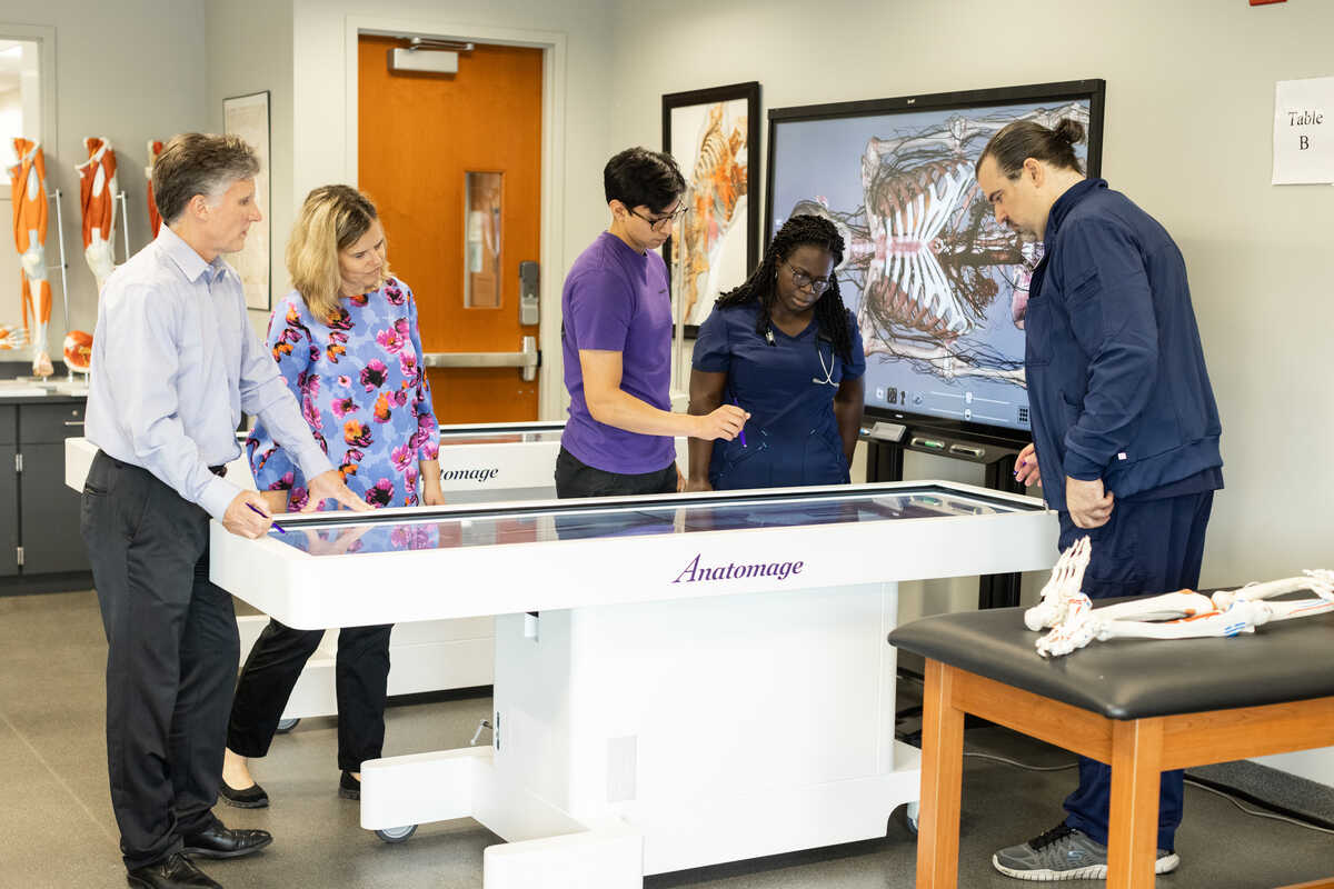 Faculty looking at a specialized anatomy lab display