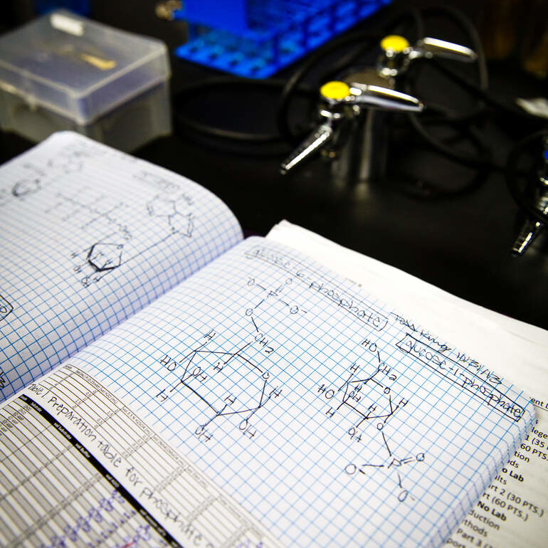 An open science notebook