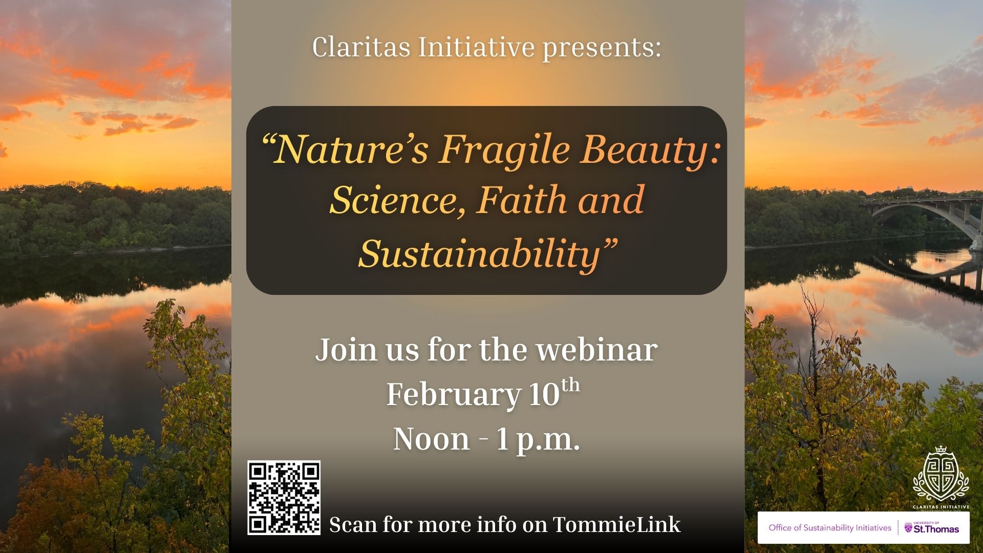 original advertisement for the webinar