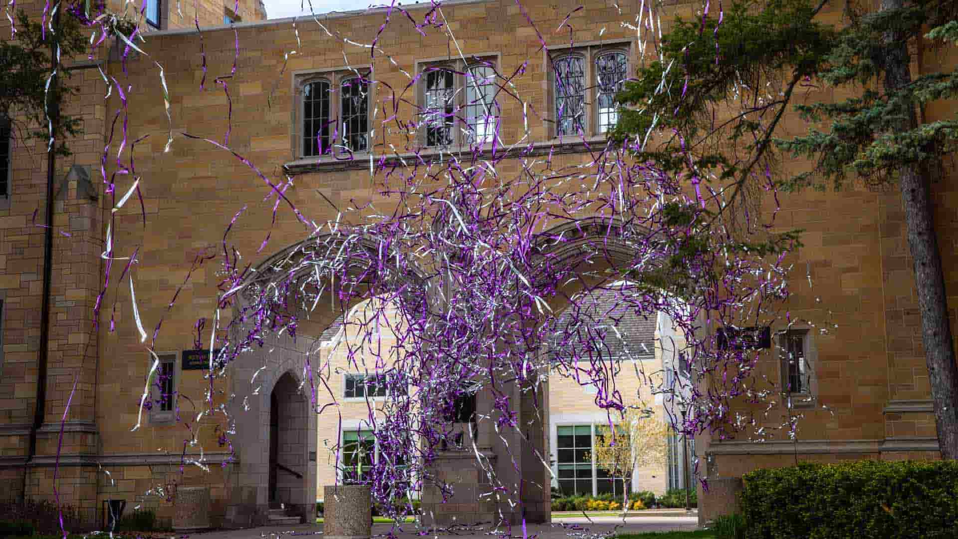 purple and silver streamers fall in front of the arches