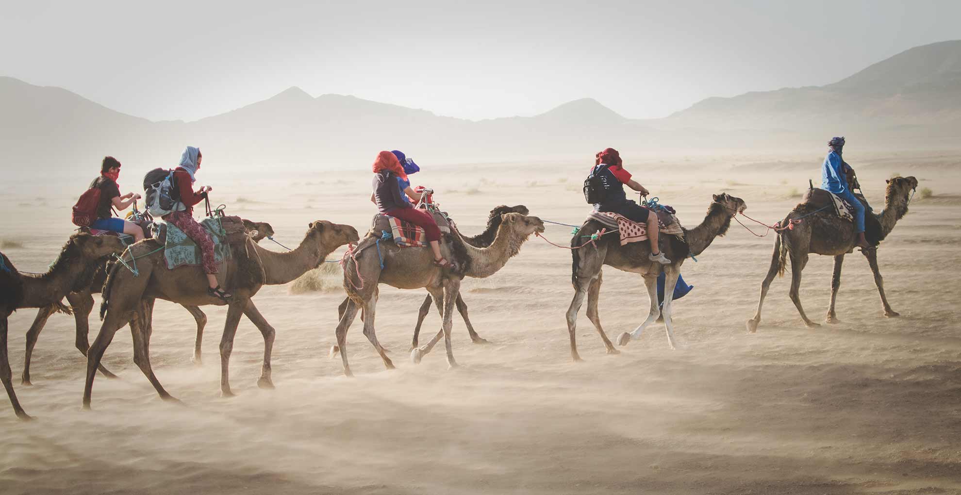 Students riding camels in desert