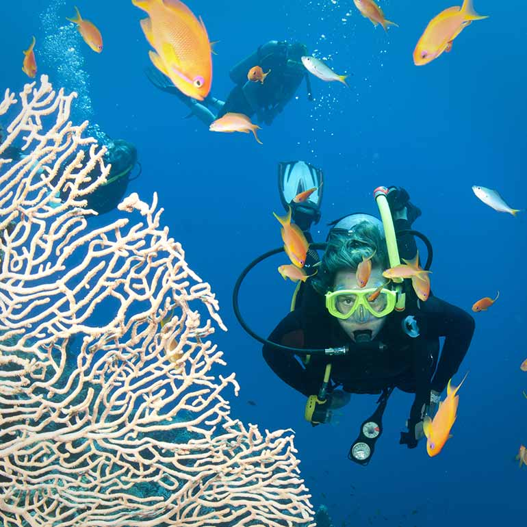 Woman diving near reef