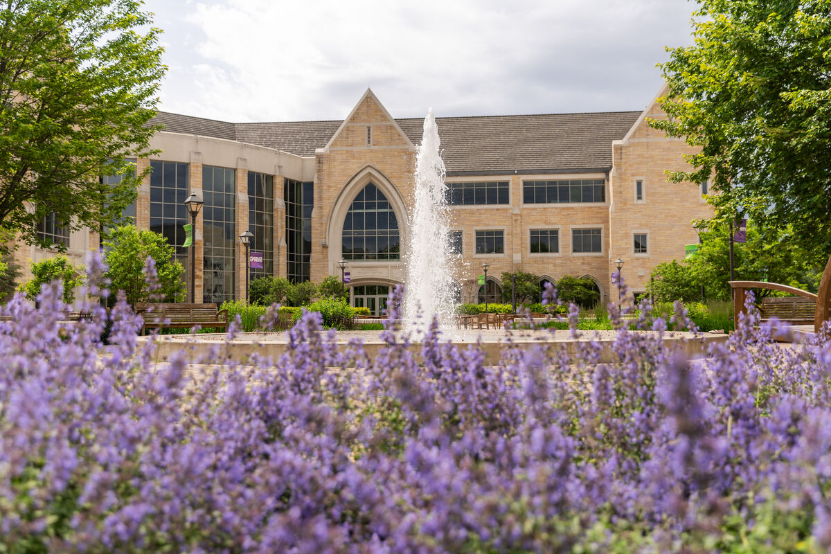 Building behind flowers