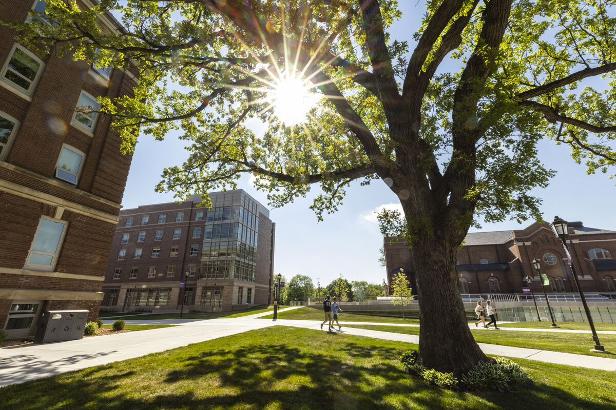 Campus buildings behind tree