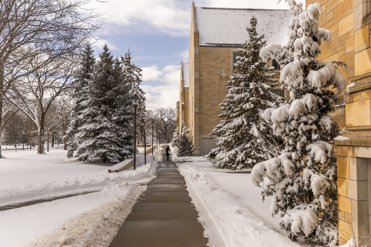 Person walking on winter sidewalk