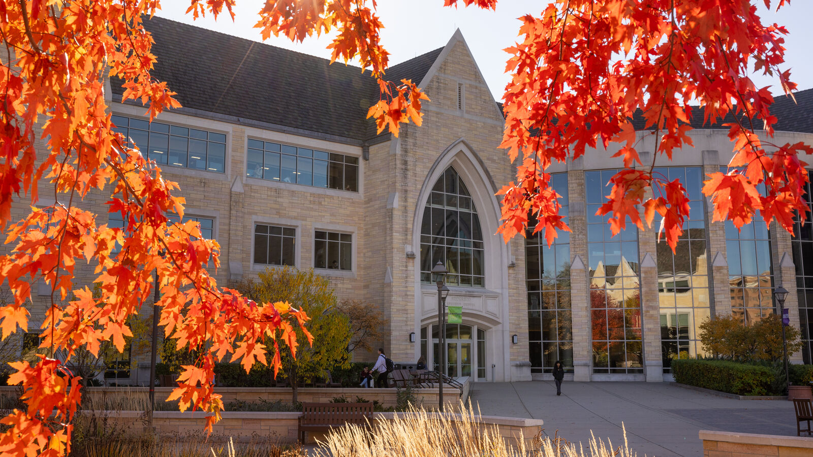 Building peaking through leaves