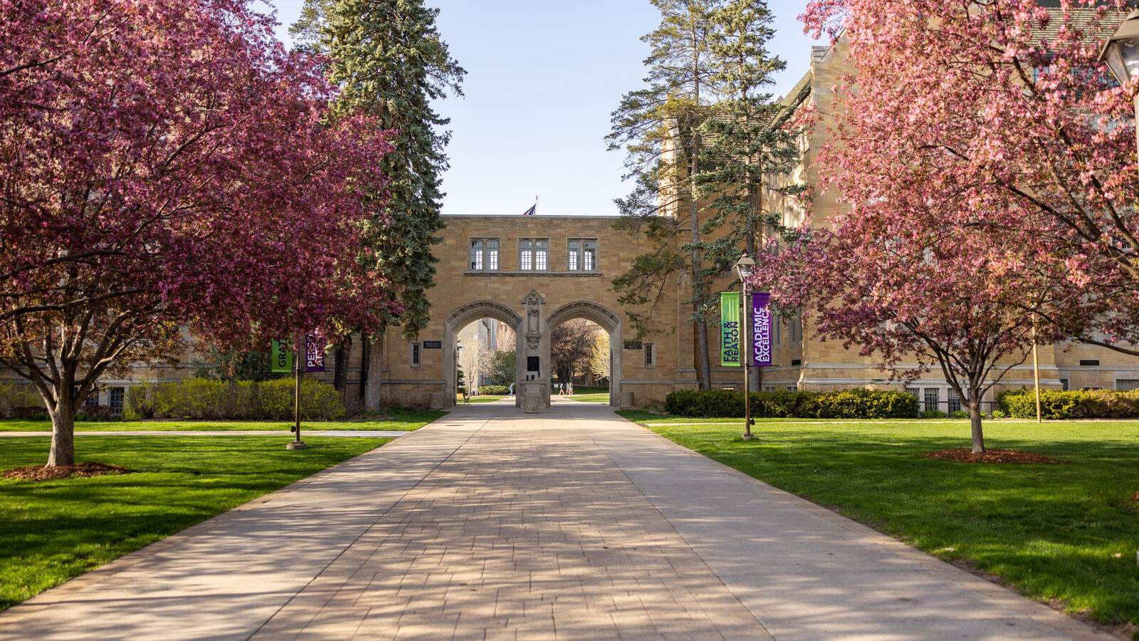 Blossom trees leading to arches