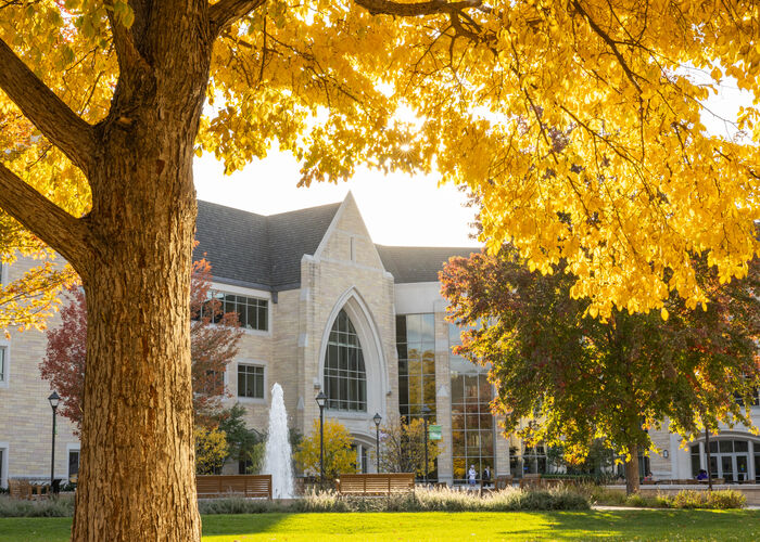 Yellow leafed trees framing building