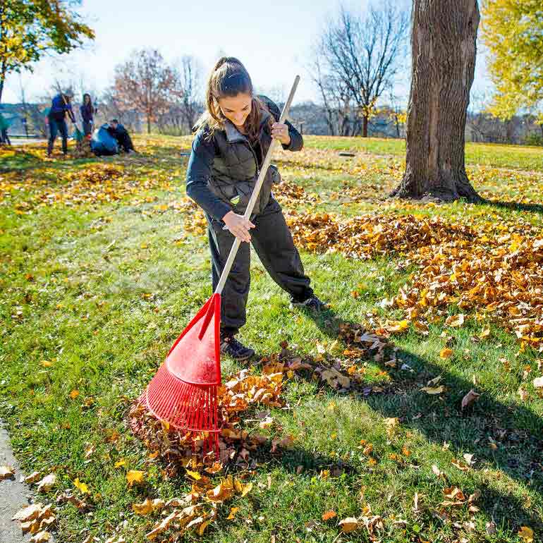 Students raking leaves