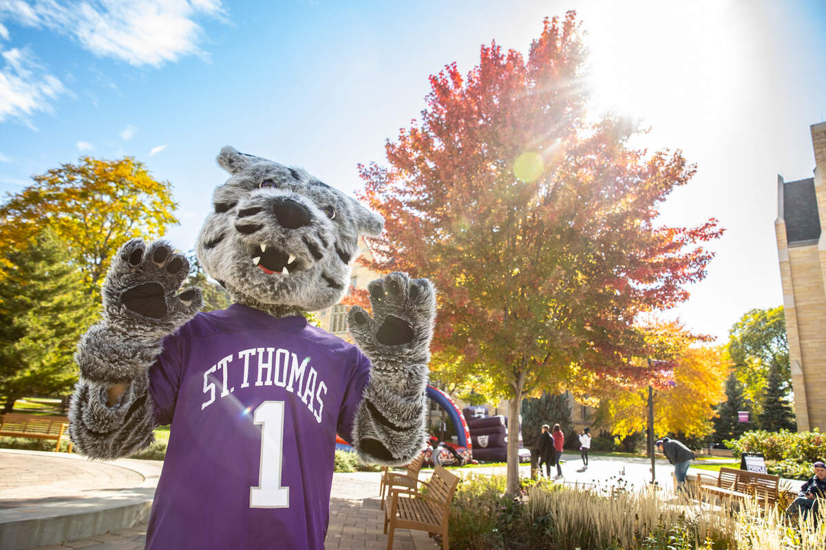 tommie mascot in the fall
