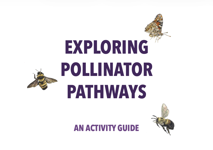pollinator flower art