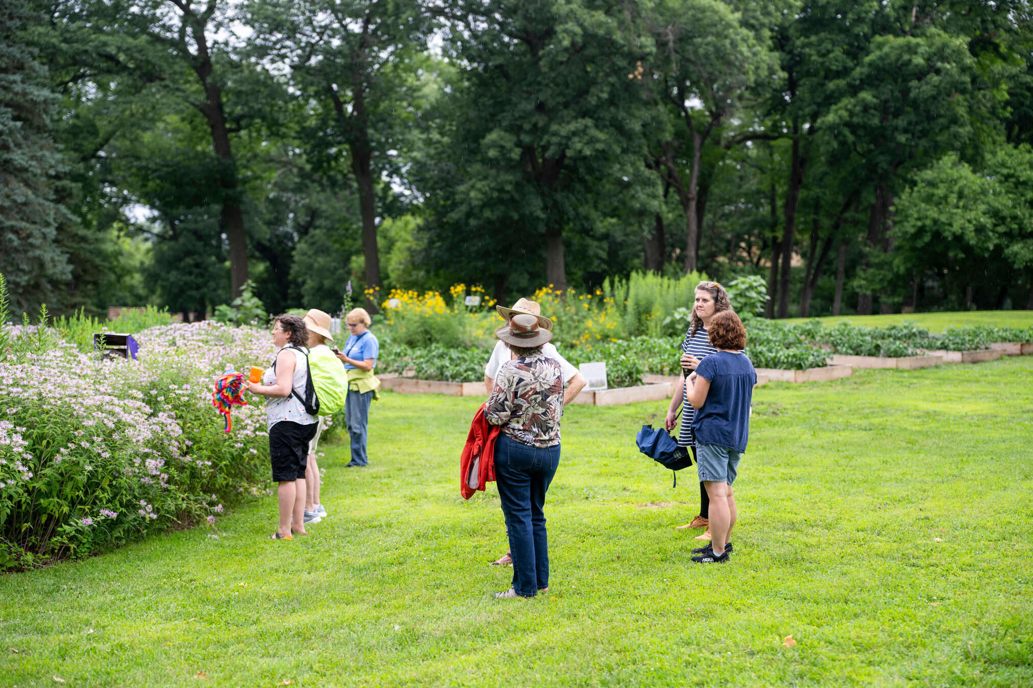 a group of people standing and talking in the pollinator garden