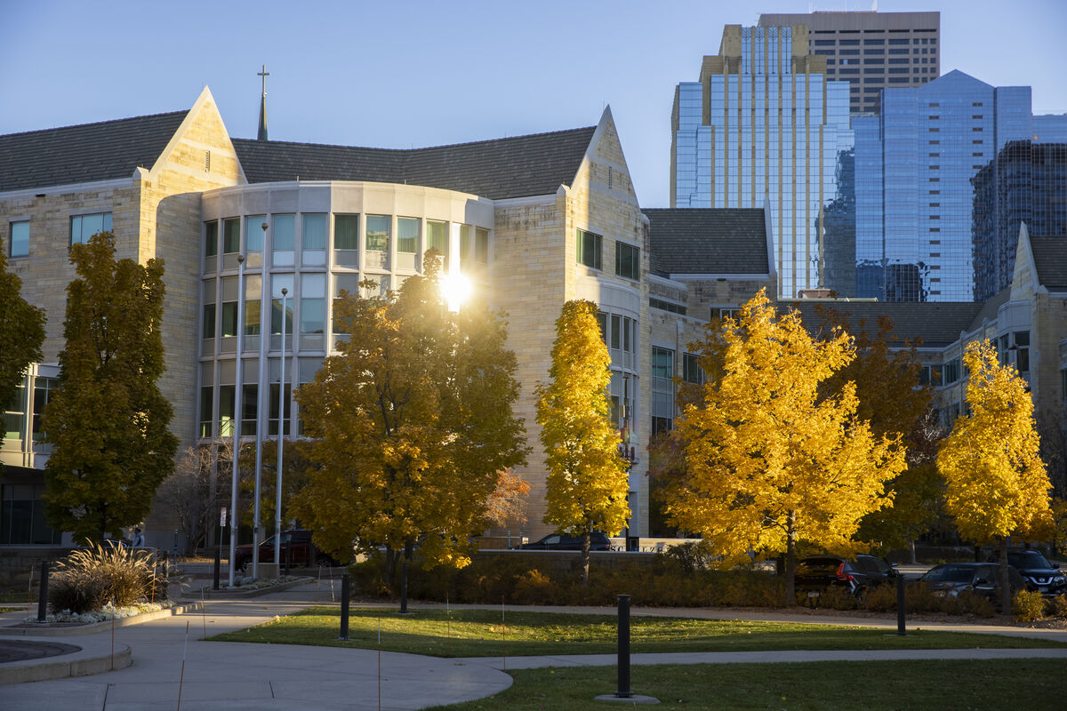 Minneapolis campus in fall
