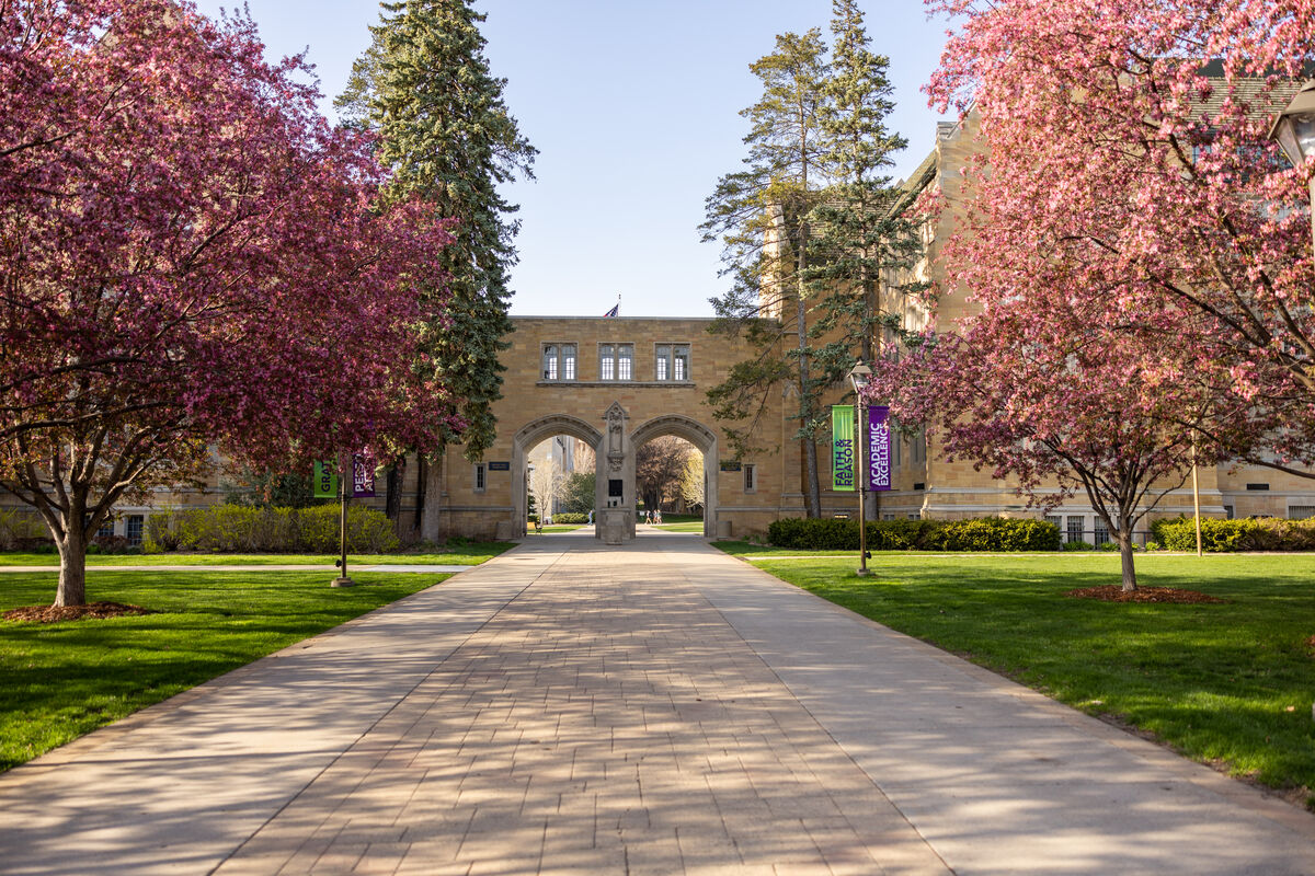 Pink trees in front of the arches