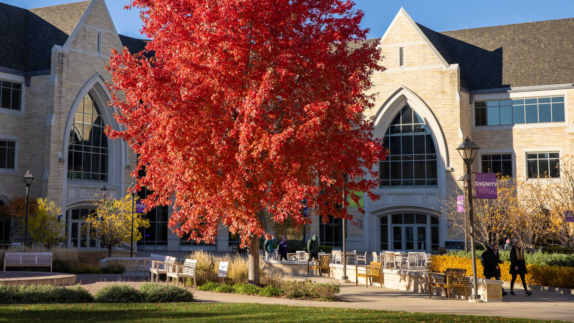 St. Thomas campus in the fall